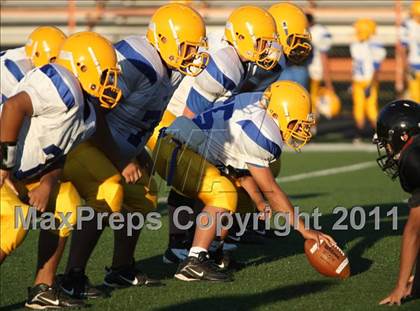 Thumbnail 2 in Jacksonville @ Gilmer photogallery.