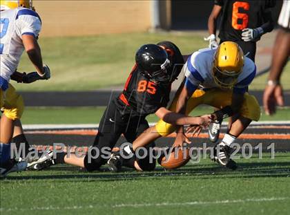 Thumbnail 3 in Jacksonville @ Gilmer photogallery.