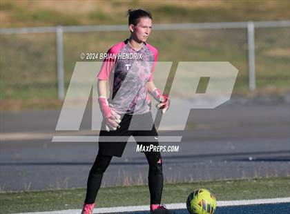Thumbnail 1 in Bandys @ Pine Lake Prep (NCHSAA 2A Playoffs Round 3) photogallery.
