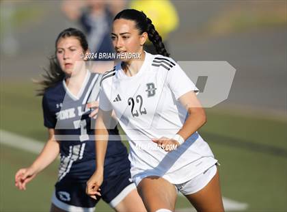 Thumbnail 3 in Bandys @ Pine Lake Prep (NCHSAA 2A Playoffs Round 3) photogallery.