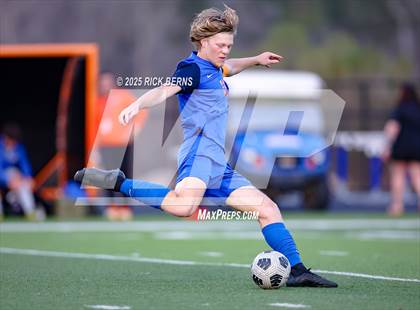 Thumbnail 1 in Willis @ Grand Oaks photogallery.