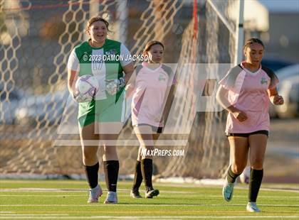 Thumbnail 1 in Mojave vs Virgin Valley (NIAA 3A Southern Region Playoffs) photogallery.