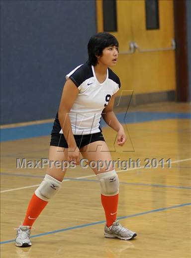 null - Photo 01