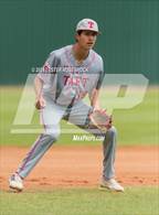 Photo from the gallery "Madison @ Taft"