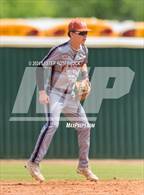 Photo from the gallery "Madison @ Taft"