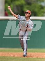 Photo from the gallery "Madison @ Taft"