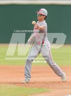 Photo from the gallery "Madison @ Taft"
