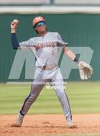 Photo from the gallery "Madison @ Taft"