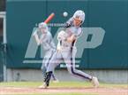 Photo from the gallery "Madison @ Taft"