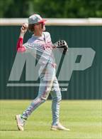 Photo from the gallery "Madison @ Taft"