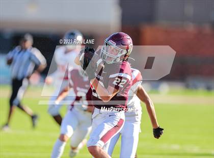 Thumbnail 2 in FR: Mustang @ Edmond Memorial photogallery.