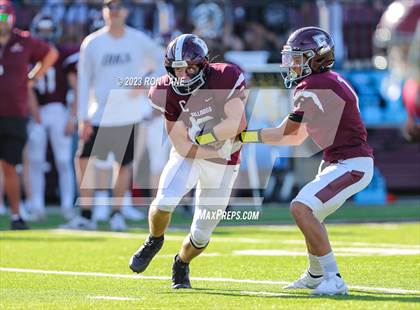 Thumbnail 3 in FR: Mustang @ Edmond Memorial photogallery.