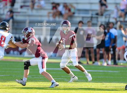 Thumbnail 3 in FR: Mustang @ Edmond Memorial photogallery.