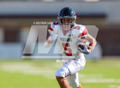 Thumbnail 3 in FR: Mustang @ Edmond Memorial photogallery.