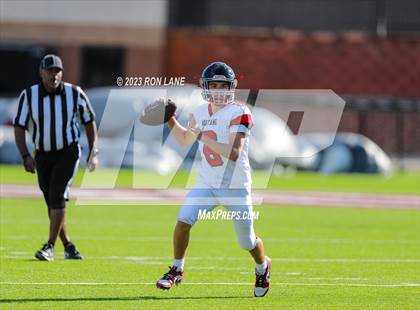 Thumbnail 2 in FR: Mustang @ Edmond Memorial photogallery.