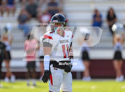 Thumbnail 1 in FR: Mustang @ Edmond Memorial photogallery.