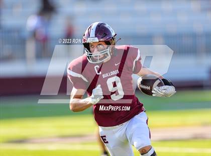 Thumbnail 1 in FR: Mustang @ Edmond Memorial photogallery.