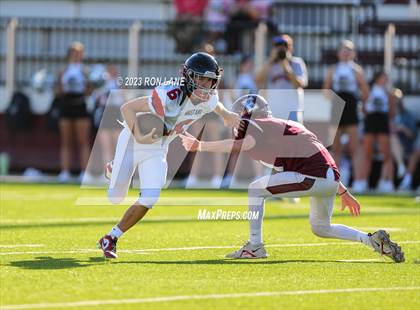 Thumbnail 3 in FR: Mustang @ Edmond Memorial photogallery.