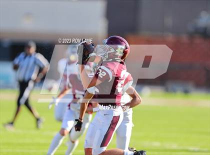 Thumbnail 1 in FR: Mustang @ Edmond Memorial photogallery.