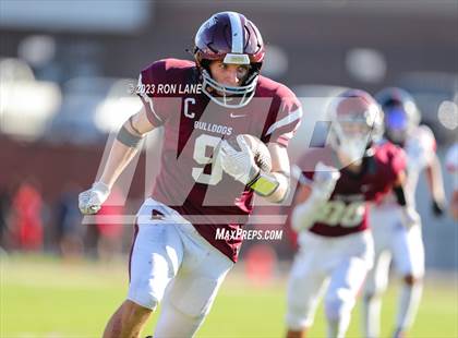 Thumbnail 2 in FR: Mustang @ Edmond Memorial photogallery.