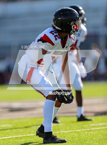 Thumbnail 1 in FR: Mustang @ Edmond Memorial photogallery.