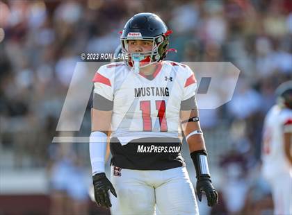 Thumbnail 2 in FR: Mustang @ Edmond Memorial photogallery.