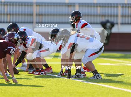 Thumbnail 2 in FR: Mustang @ Edmond Memorial photogallery.