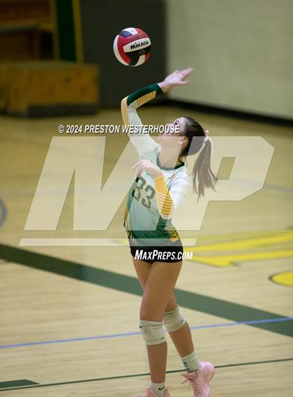 Thumbnail 1 in Camarillo @ Moorpark photogallery.