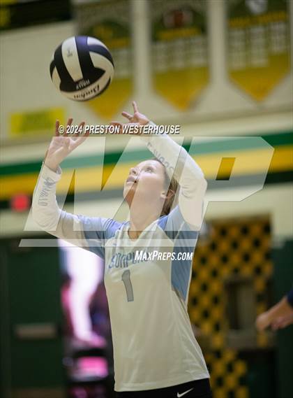Thumbnail 2 in Camarillo @ Moorpark photogallery.