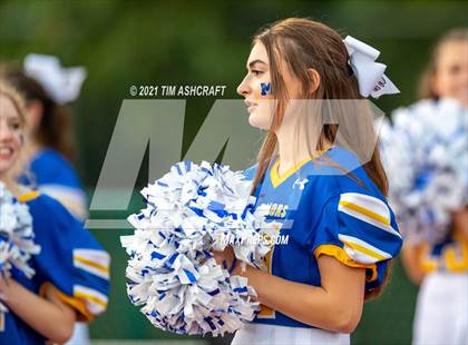 Thumbnail 3 in Mariemont @ Indian Hill photogallery.