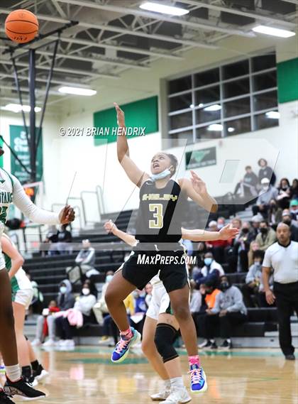 Thumbnail 1 in Shelby @ Myers Park photogallery.