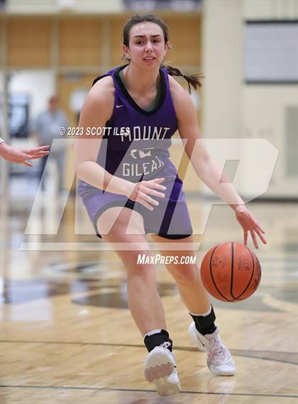 Thumbnail 3 in Mt. Gilead vs. Berne Union (OHSAA D4 District Semifinal) photogallery.