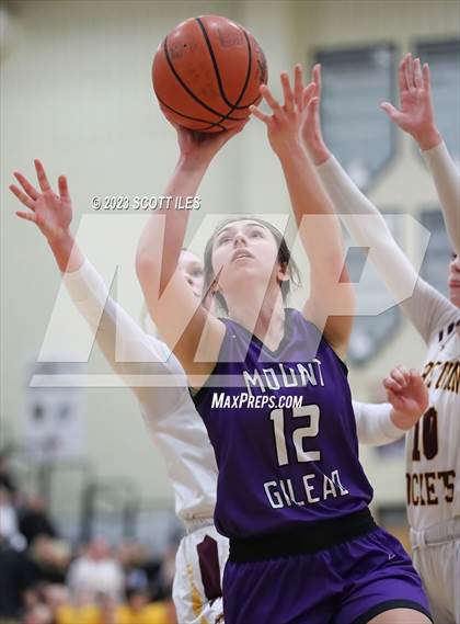 Thumbnail 3 in Mt. Gilead vs. Berne Union (OHSAA D4 District Semifinal) photogallery.