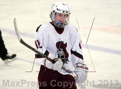 Thumbnail 2 in Fryeburg/Lakes Region/Oxford Hills @ Noble/Wells photogallery.