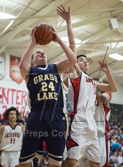 Thumbnail 2 in Grass Lake @ Vandercook Lake photogallery.