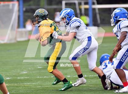 Thumbnail 2 in Clearview @ Paul VI photogallery.