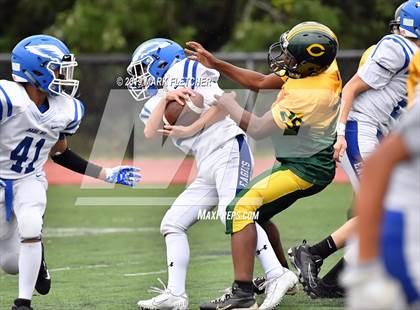 Thumbnail 3 in Clearview @ Paul VI photogallery.