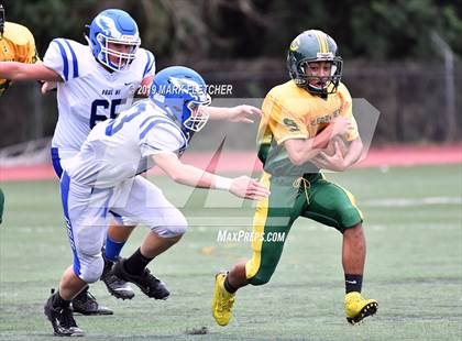Thumbnail 1 in Clearview @ Paul VI photogallery.