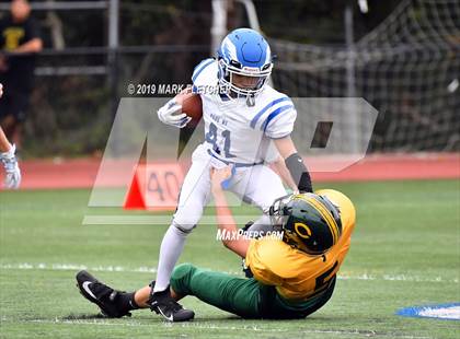 Thumbnail 1 in Clearview @ Paul VI photogallery.