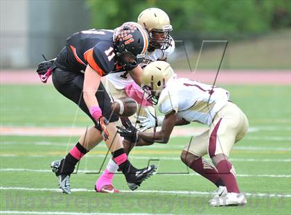 Thumbnail 3 in Mt. Vernon @ White Plains photogallery.