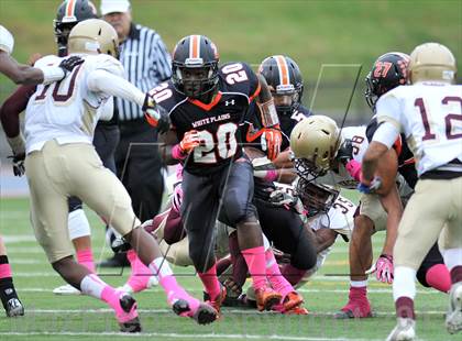 Thumbnail 3 in Mt. Vernon @ White Plains photogallery.