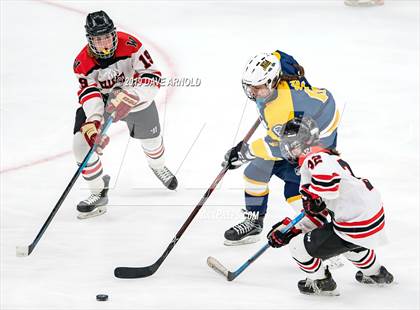 Thumbnail 1 in Austin Prep vs Wellesley (MAA Division 2 State Final) photogallery.
