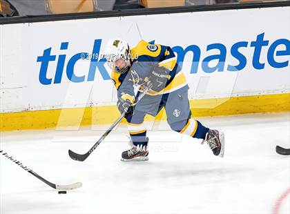 Thumbnail 1 in Austin Prep vs Wellesley (MAA Division 2 State Final) photogallery.
