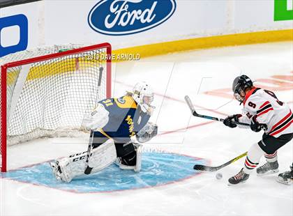Thumbnail 1 in Austin Prep vs Wellesley (MAA Division 2 State Final) photogallery.