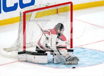 Thumbnail 3 in Austin Prep vs Wellesley (MAA Division 2 State Final) photogallery.