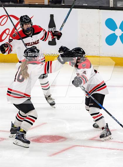 Thumbnail 3 in Austin Prep vs Wellesley (MAA Division 2 State Final) photogallery.