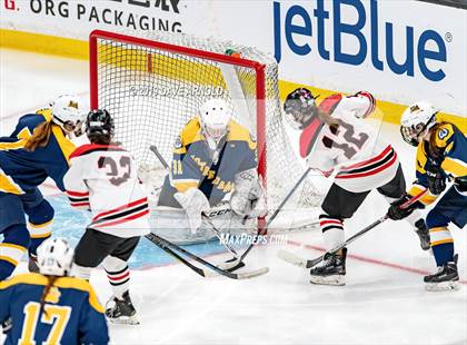 Thumbnail 1 in Austin Prep vs Wellesley (MAA Division 2 State Final) photogallery.