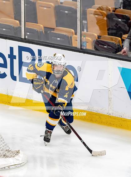 Thumbnail 1 in Austin Prep vs Wellesley (MAA Division 2 State Final) photogallery.