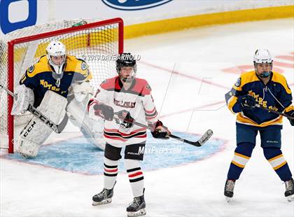 Thumbnail 1 in Austin Prep vs Wellesley (MAA Division 2 State Final) photogallery.