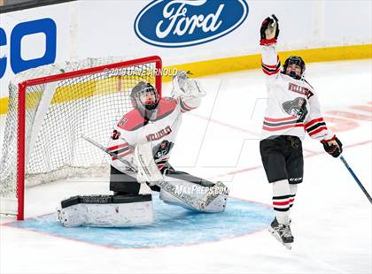 Thumbnail 1 in Austin Prep vs Wellesley (MAA Division 2 State Final) photogallery.